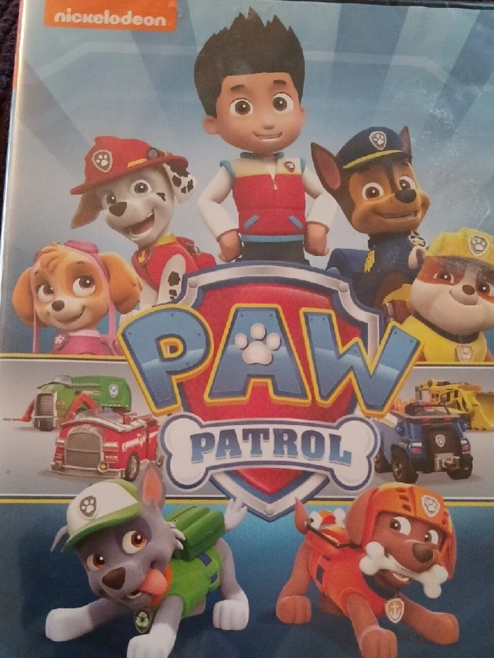 Nickelodeon PAW Patrol Colorful Character DVD — Blue Background